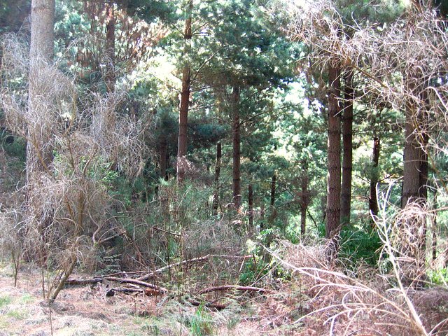 The Confluence from 30m Distance