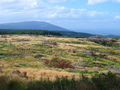 #2: View from 250m towards South