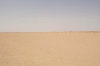 #1: Looking North onto the Confluence Point