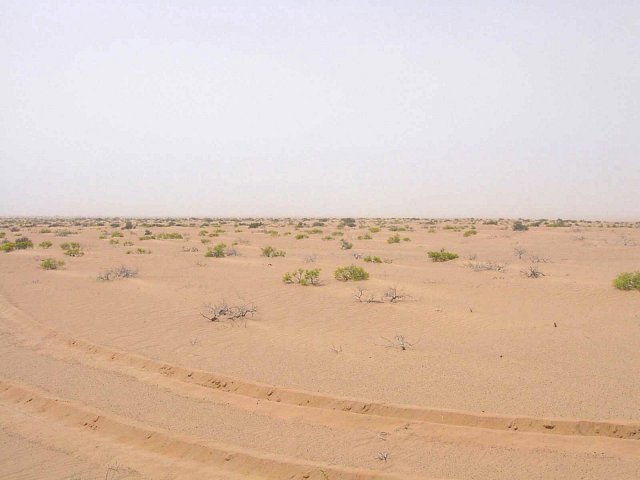 View south from Confluence