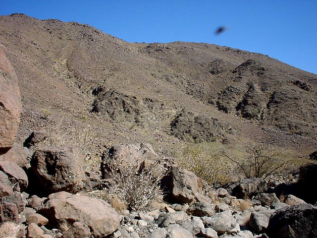 The mountain slope with the Confluence. It is somwhere on the right half of the picture.