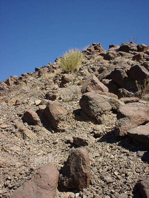 Looking east towards the Confluence.