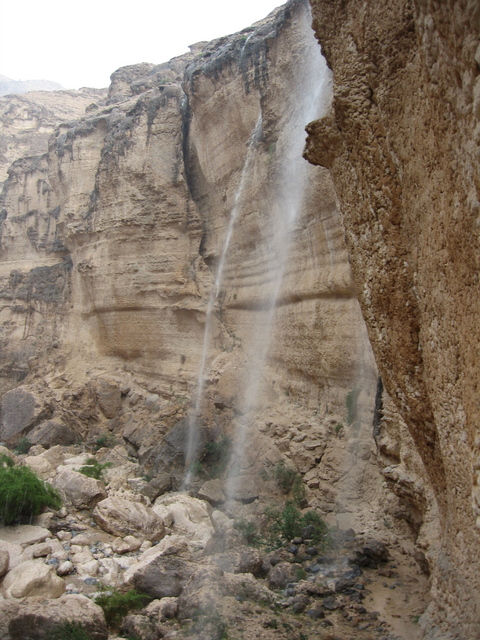 After rain in a side wādiy to Wādiy Suwayh