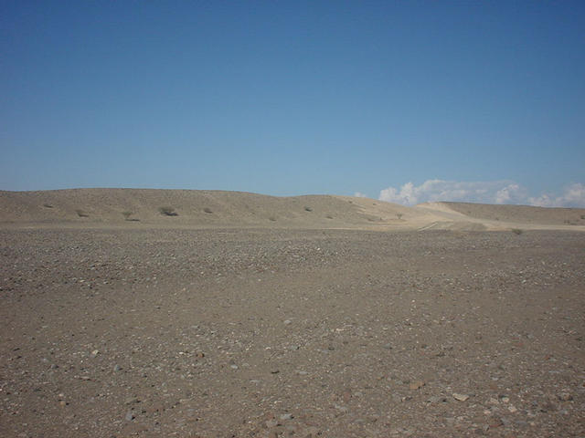 From the Confluence looking north (south and west is very similar)