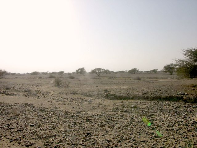 View east / Blick nach Osten