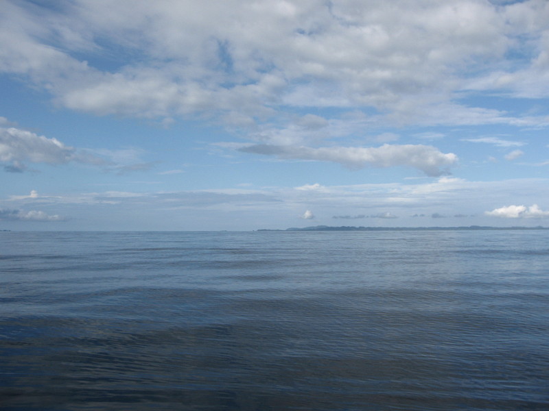 View from the confluence point (West)