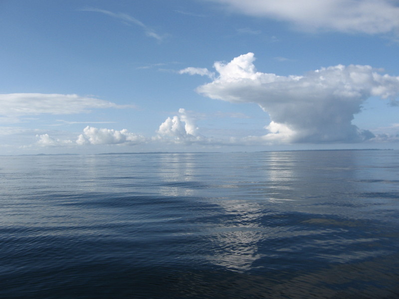 View from the confluence point (North)