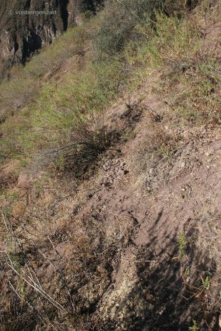 the confluence point (in the foreground) on the slippery, dry, steep slope