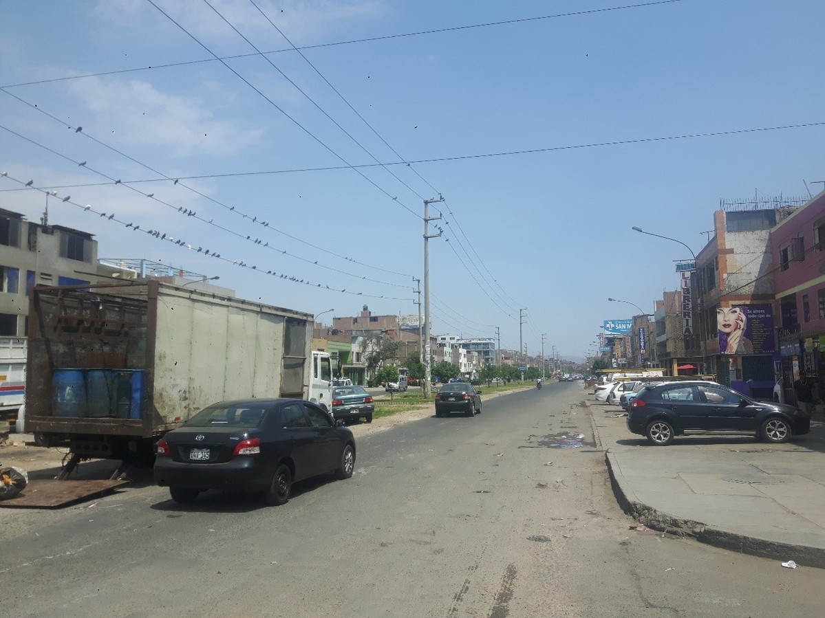 Vista Sur - Avenida Santa Rosa de Lima