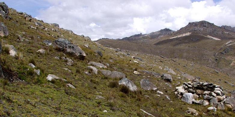 South - Funeral chullpa with mountains of the upper valley