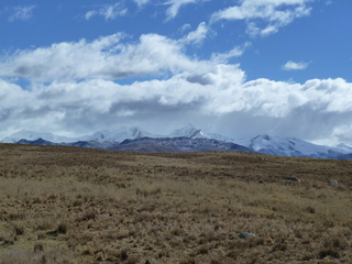 #1: View from the confluence to the north