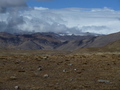 #3: View from the confluence to the south