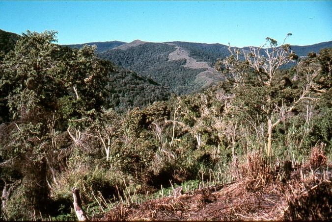 View to south to open ridge, from Moimor village garden. Approx 2kms from confluence point.