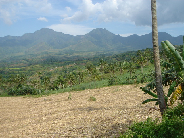 View across valley t point on the far hillside somewhere right of centre.