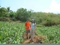 #7: Raul and Jane passing through a farm