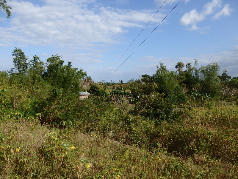 General view of the confluence area