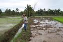 #3: Slippery and muddy rice dikes to negotiate. Confluence is about 100 meters up.