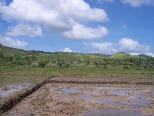 About 4.2 km away in those hills is 12N 125E