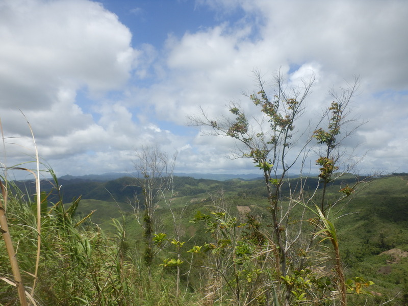 View to the East