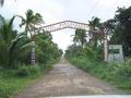 #4: Entering Barangay Mangcamagong, 10 km from Hinipaan.