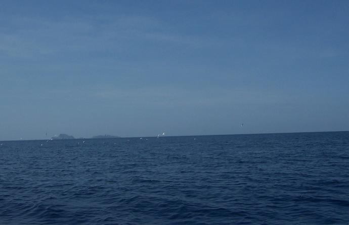 Looking South towards Capones Island, Confluence just in front but before the diving sea gulls.