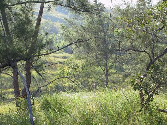 View of confluence area, taken approximately 50 meters from confluence point