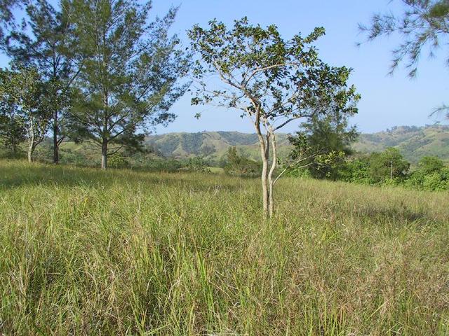 Photo taken facing due North of the confluence area