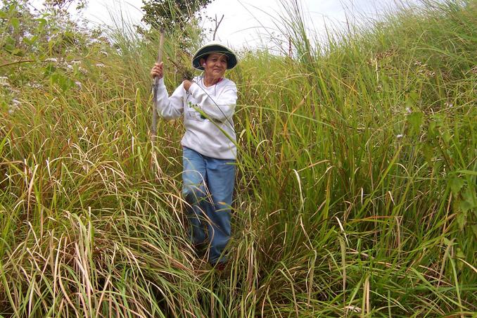 Santah Fuentes fighting her way through the cogon