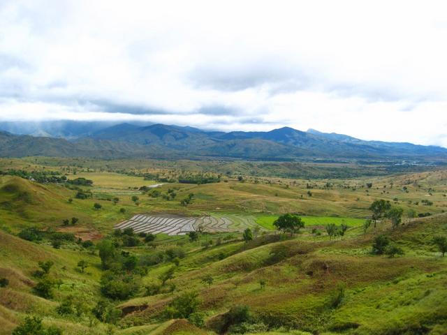 General View of the Area