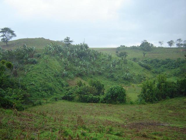 View South from Confluence area