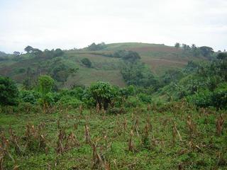 #1: Wide view photo of the Confluence area