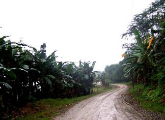 #1: 18N 122E is still 4.5 kilometers ahead the muddy road