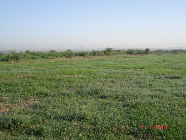 Looking north from confluence