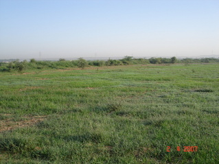 #1: Looking north from confluence