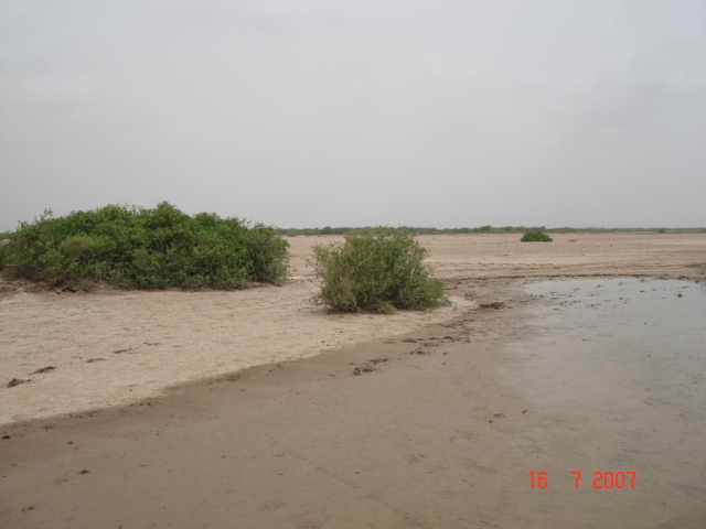 Looking north from confluence point