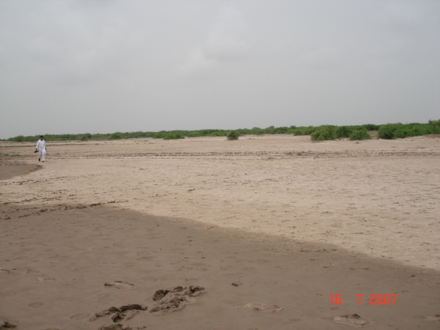 Looking west from confluence point