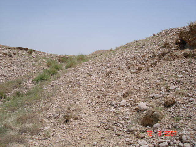 Looking east from confluence point