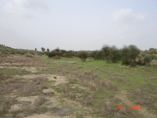 #1: Looking north from confluence point