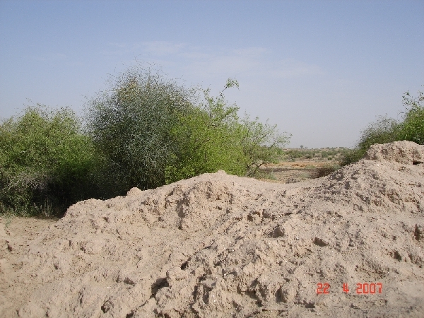 Looking north from confluence point