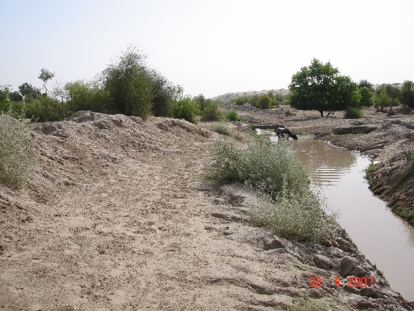 Looking east from confluence point