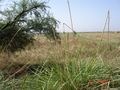 #3: Looking south from confluence point