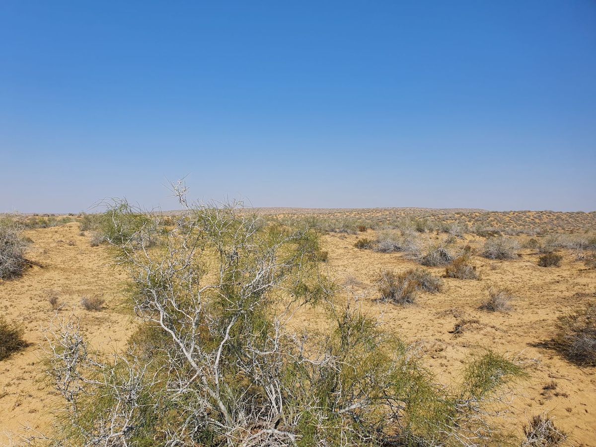 General view of confluence area