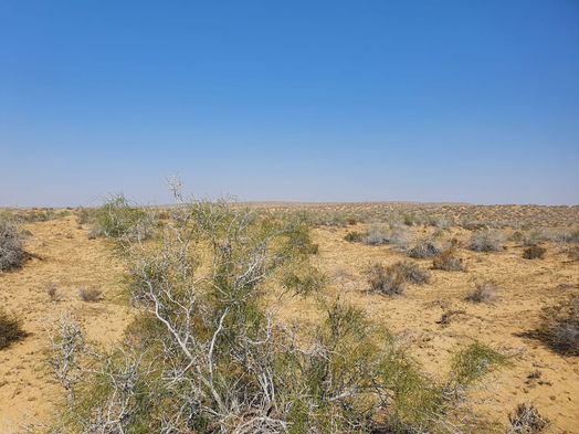 #1: General view of confluence area