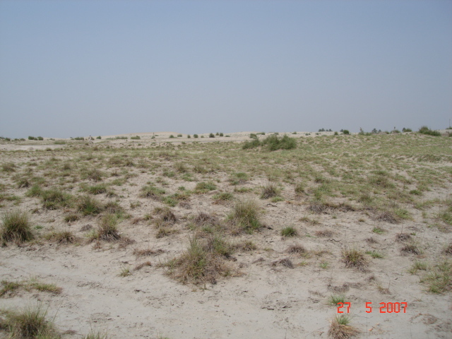 Looking north from confluence point