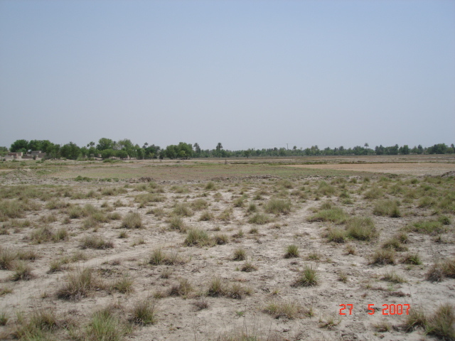 Looking south from confluence point