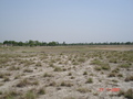 #3: Looking south from confluence point