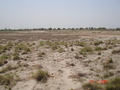 #4: Looking west from confluence point