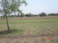 #2: Looking east from confluence point