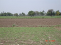 #3: Looking south from confluence point