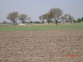 #4: Looking west from confluence point